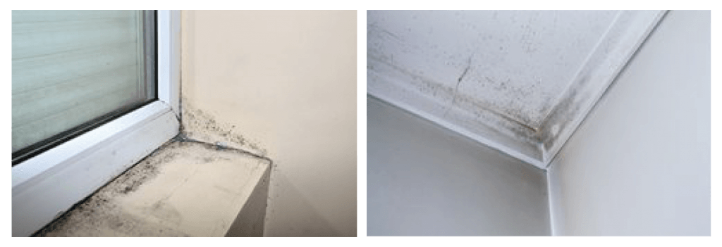 Preventing Condensation And Mould • Broadacres Housing Association