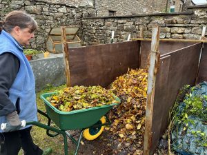 A volunteer empties a wheelbarrow full of leaves onto a compost heap.