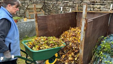 A volunteer empties a wheelbarrow full of leaves onto a compost heap.