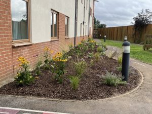 Refuge garden makeover